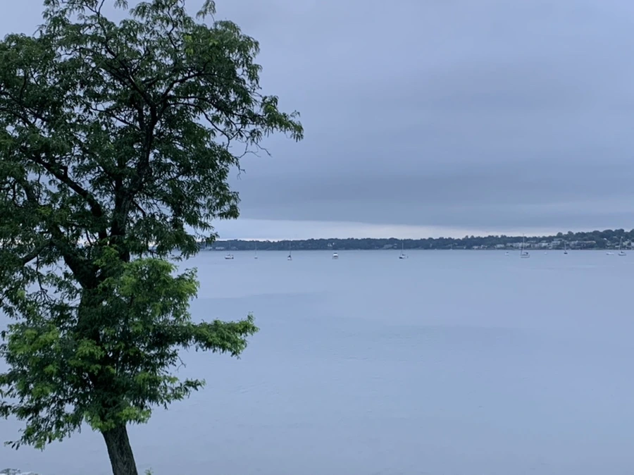 IMG_6928.jpg?type=w966