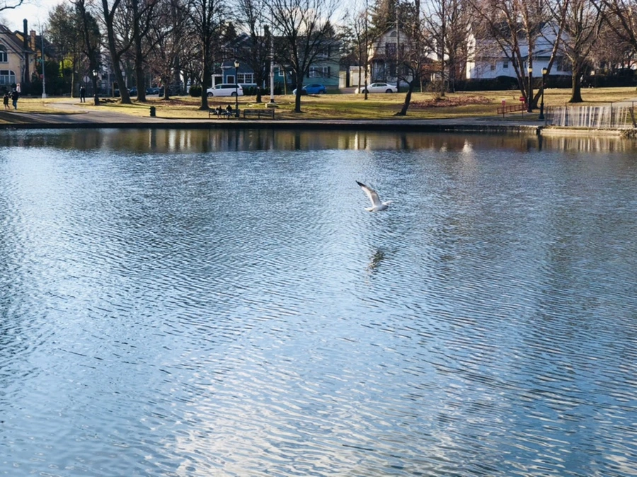 IMG_4139.jpg?type=w966