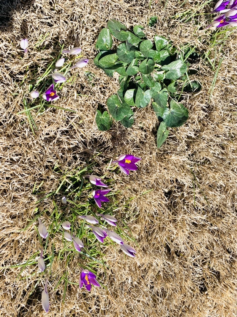 IMG_8225.jpg?type=w966