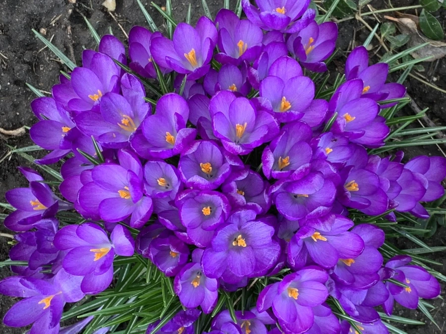 IMG_4321.jpg?type=w966