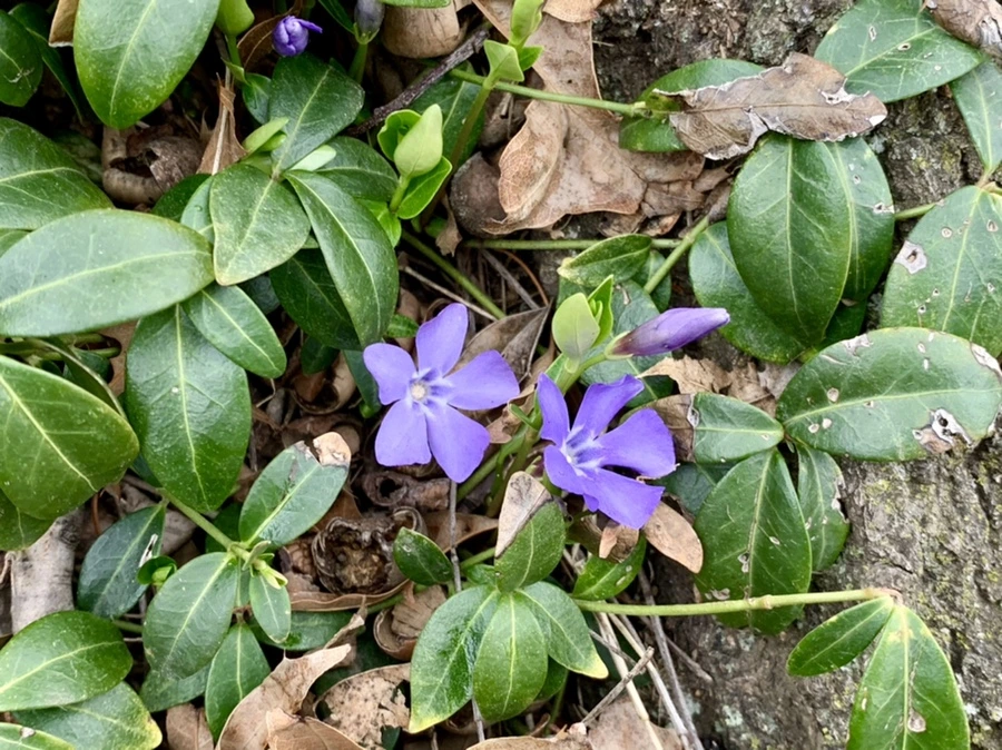 IMG_3442.jpg?type=w966