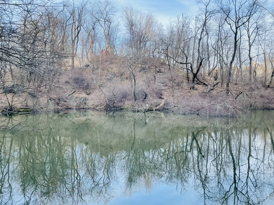 IMG_5382.jpg?type=w966