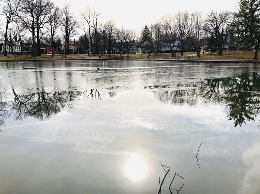 IMG_5767.jpg?type=w966