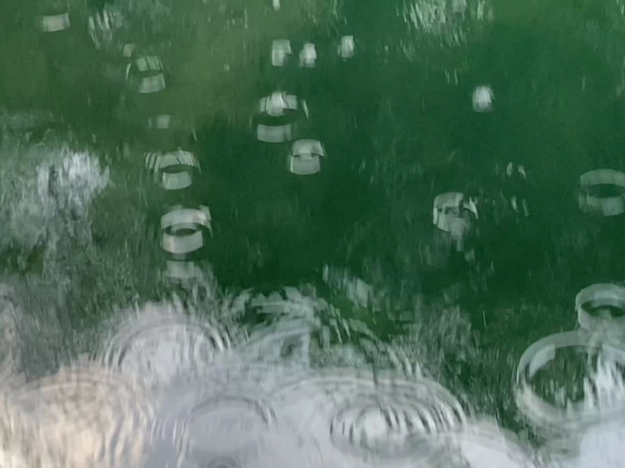 IMG_1717.jpg?type=w966