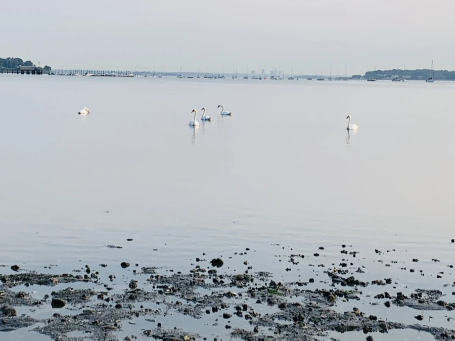 IMG_7809.jpg?type=w966