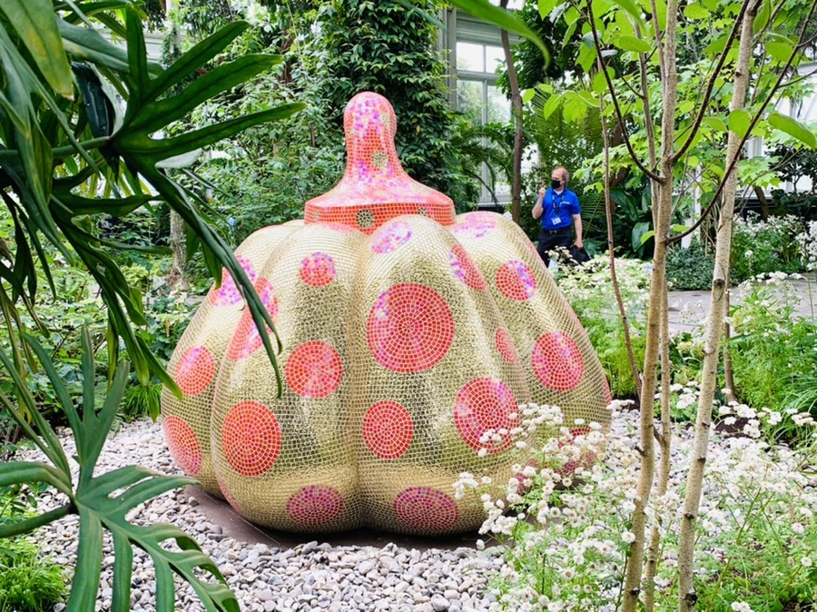 IMG_8307.jpg?type=w966