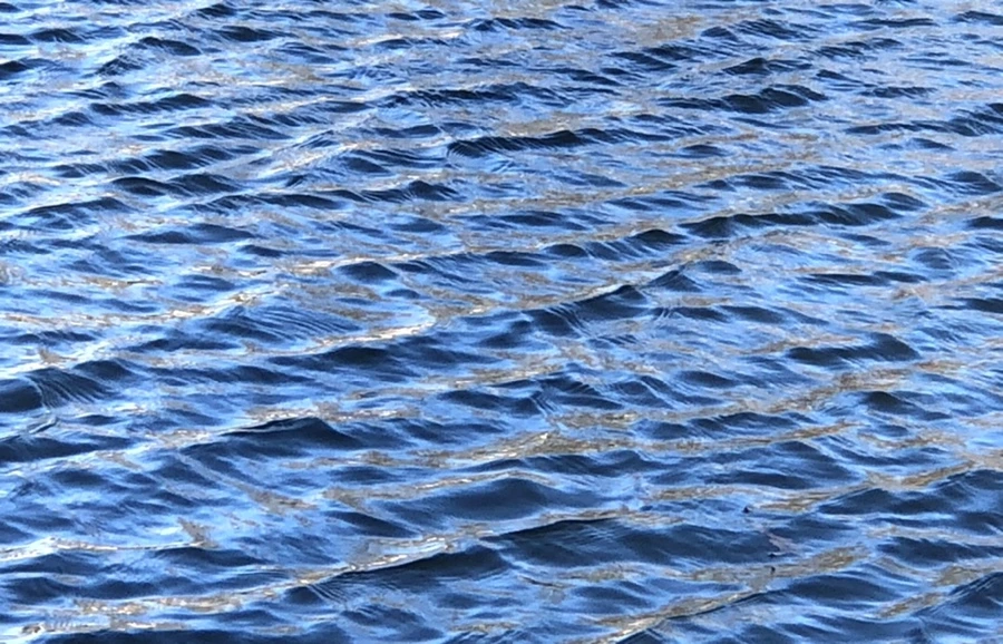 IMG_3828.jpg?type=w966