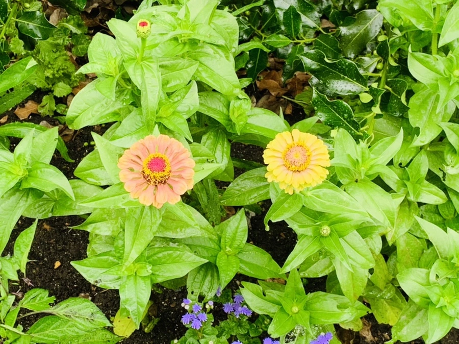 IMG_9553.jpg?type=w966