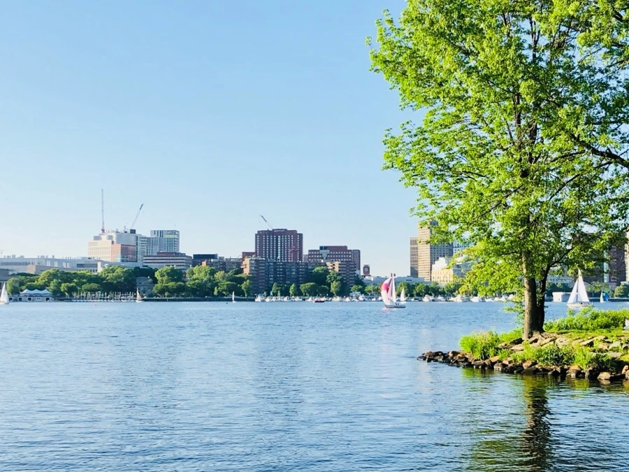 IMG_6772.jpg?type=w966