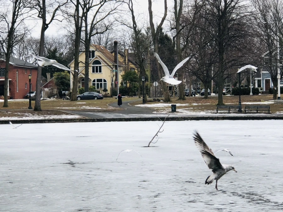 IMG_5891.jpg?type=w966