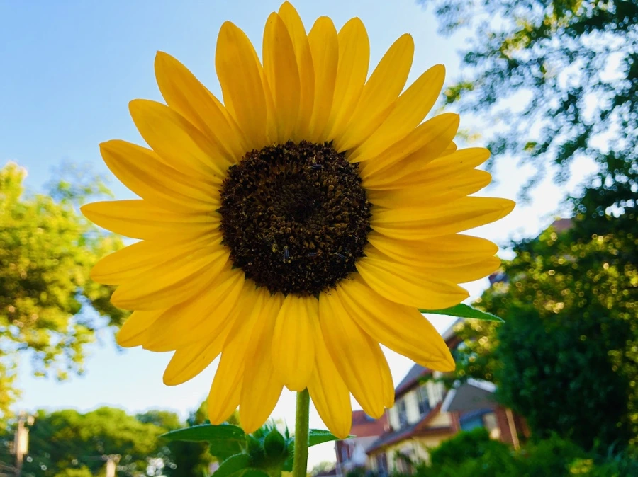 IMG_4669.jpg?type=w966