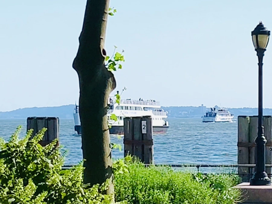 IMG_1146.jpg?type=w966