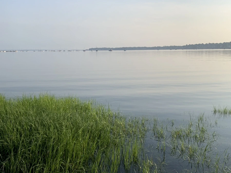 IMG_6451.jpg?type=w966