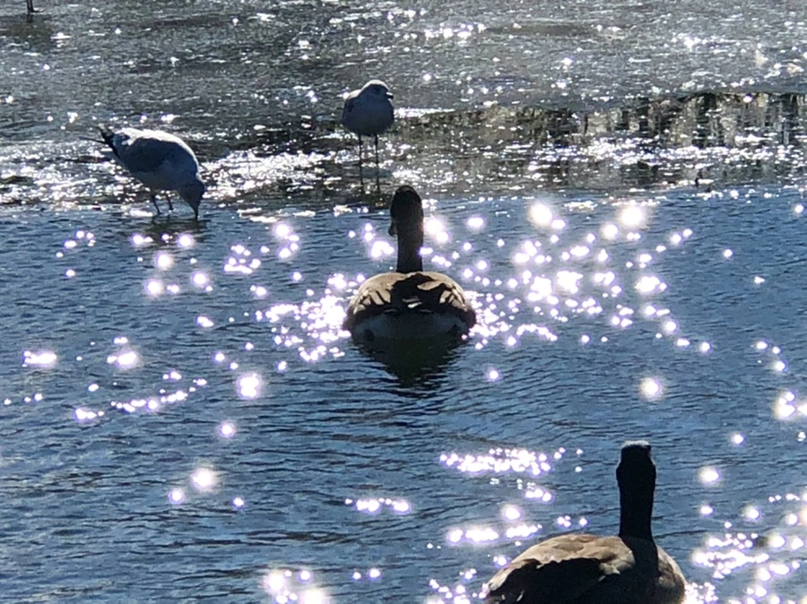 IMG_6850.jpg?type=w966