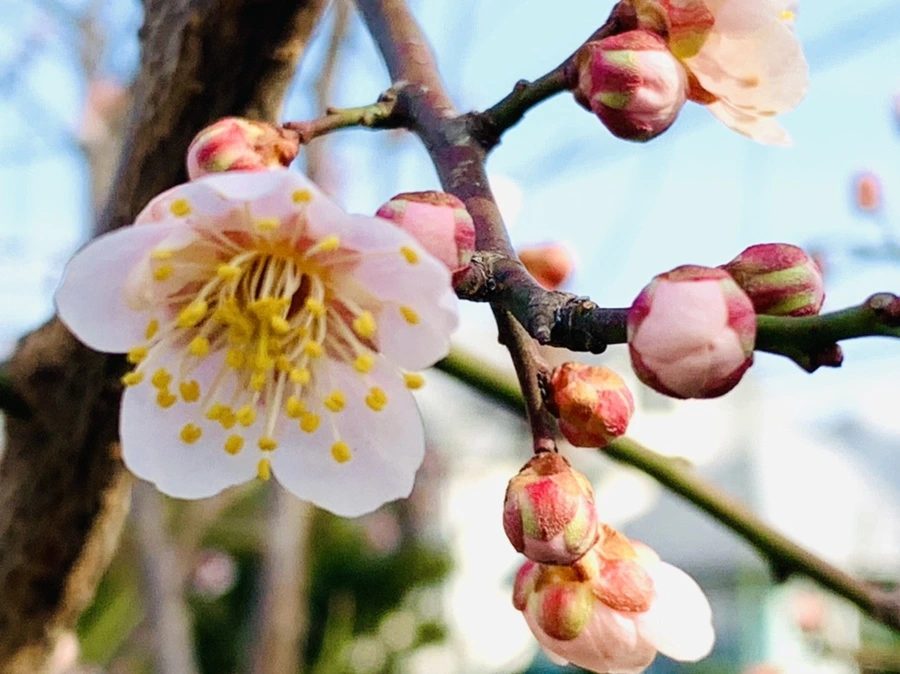 IMG_0266.jpg?type=w966