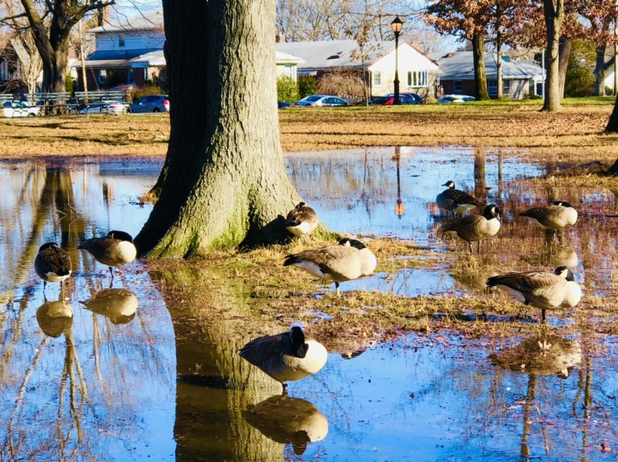 IMG_9785.jpg?type=w966