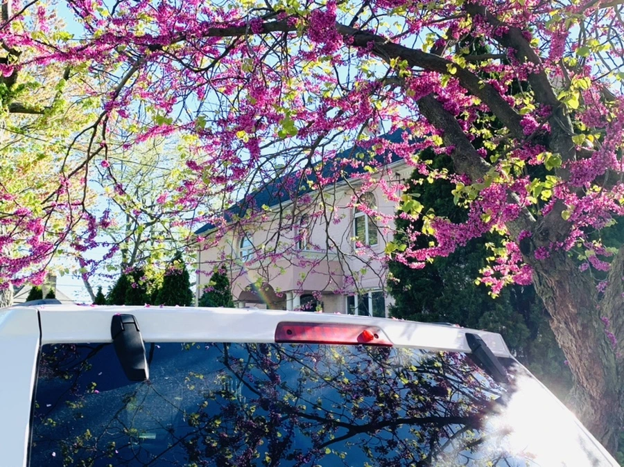 IMG_0427.jpg?type=w966