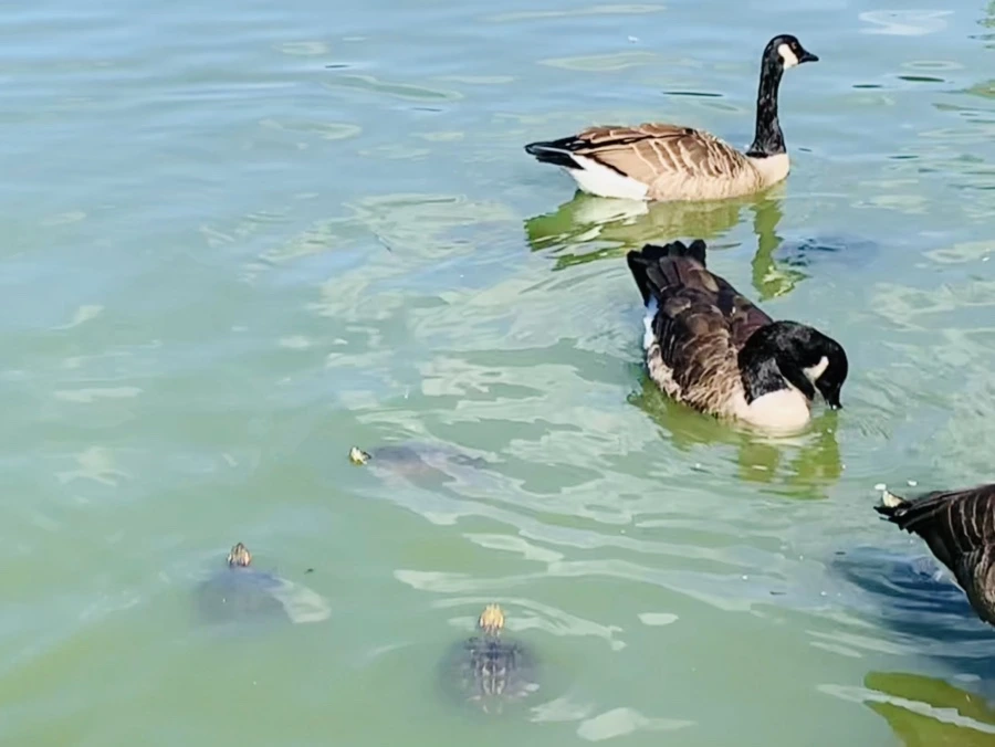 IMG_9712.jpg?type=w966