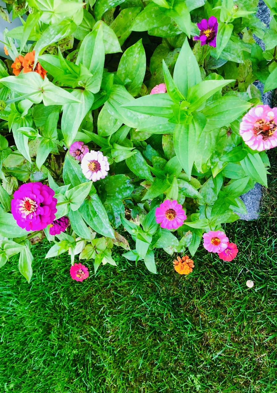 IMG_3646.jpg?type=w966