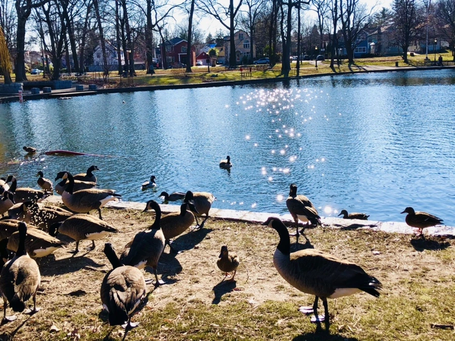 IMG_0216.jpg?type=w966