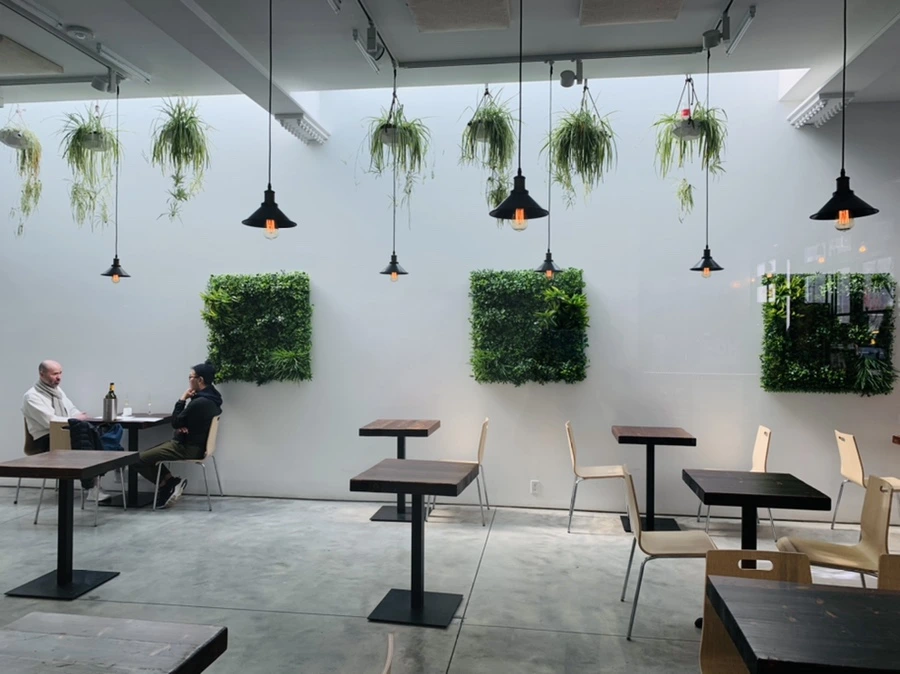 IMG_2394.jpg?type=w966