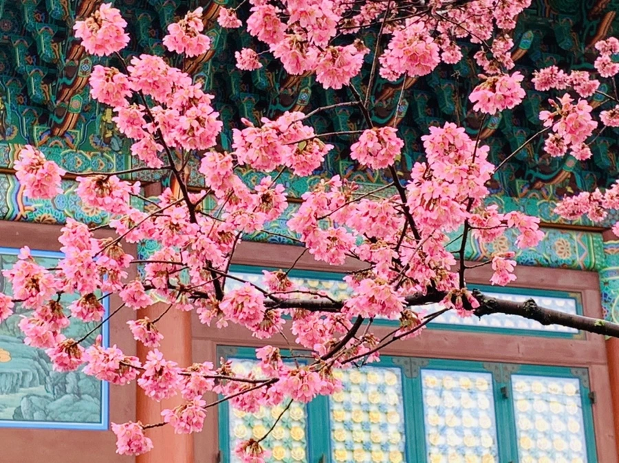 IMG_5221.jpg?type=w966