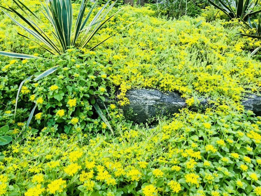 IMG_8390.jpg?type=w966