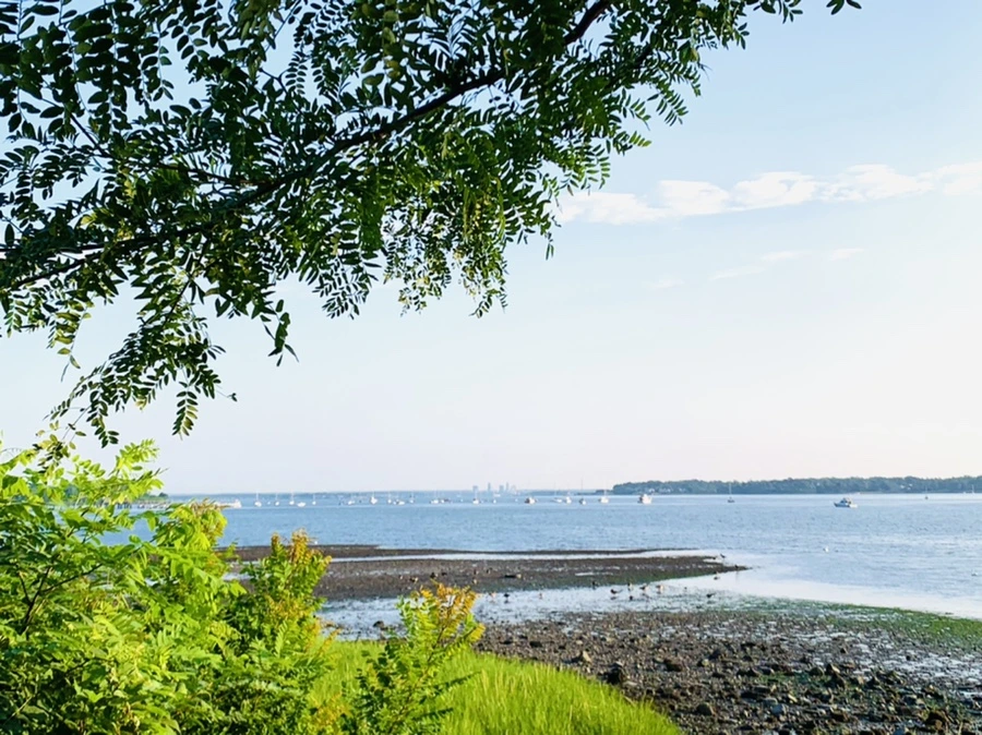 IMG_9835.jpg?type=w966