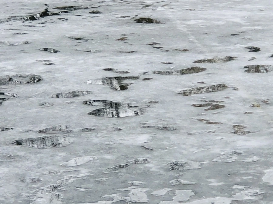 IMG_6491.jpg?type=w966