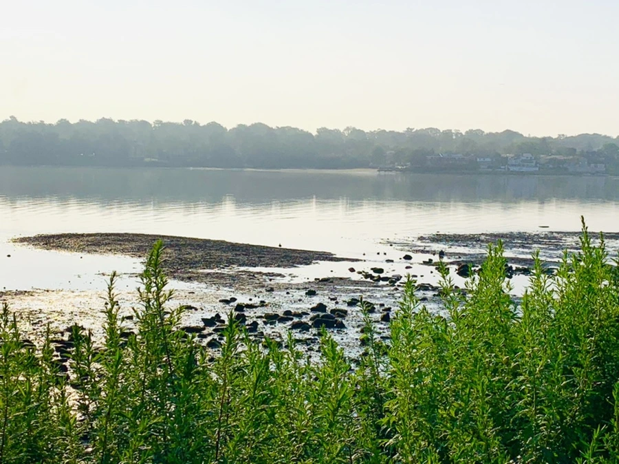 IMG_4343.jpg?type=w966