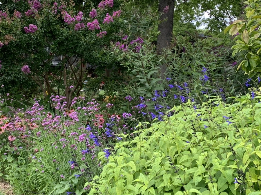 IMG_5087.jpg?type=w966