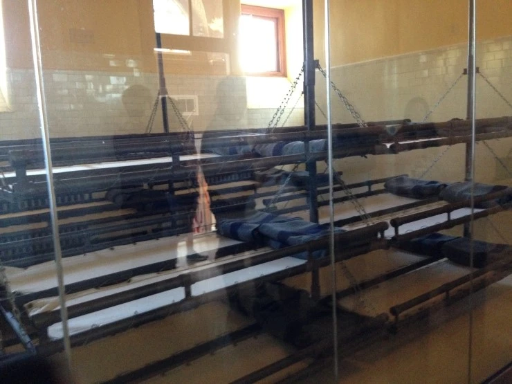 IMG_8523.JPG?type=w1