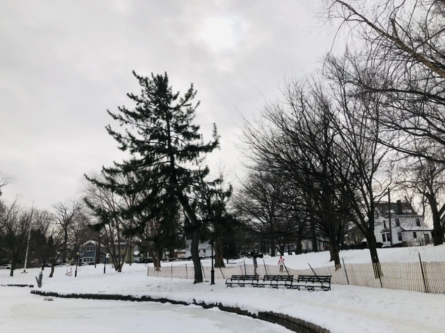 IMG_2615.jpg?type=w966