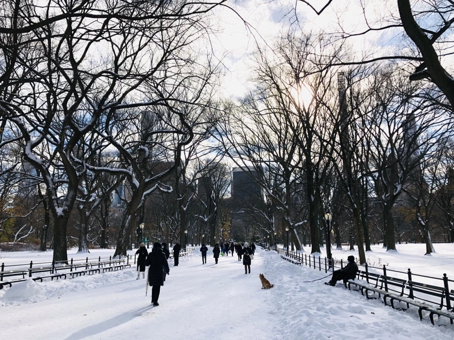 IMG_7065.jpg?type=w966