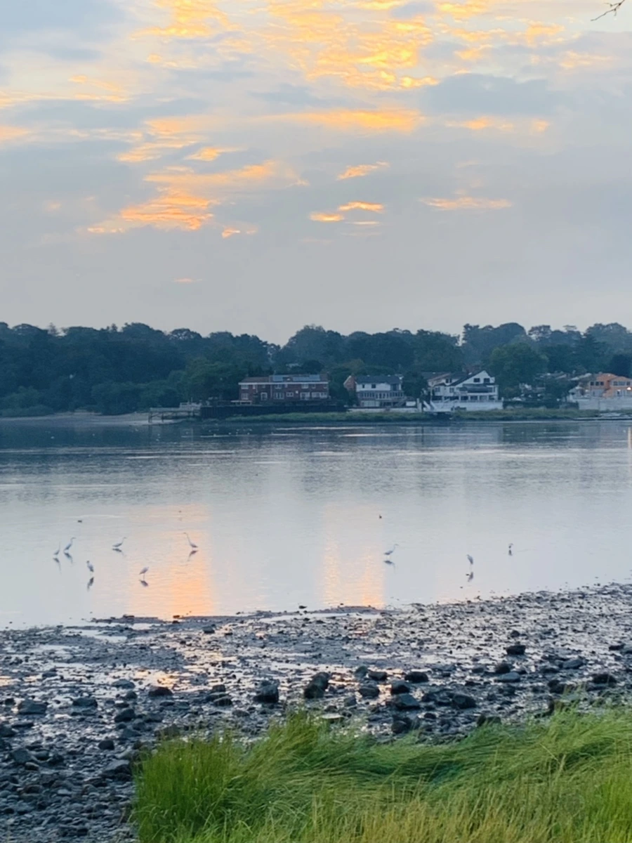 IMG_8207.jpg?type=w966