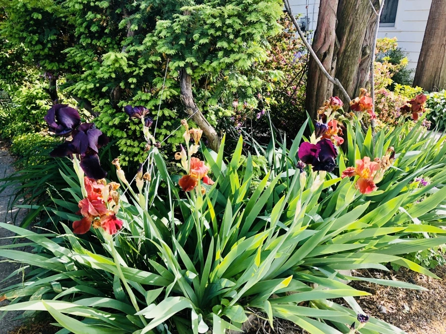 IMG_7725.jpg?type=w966