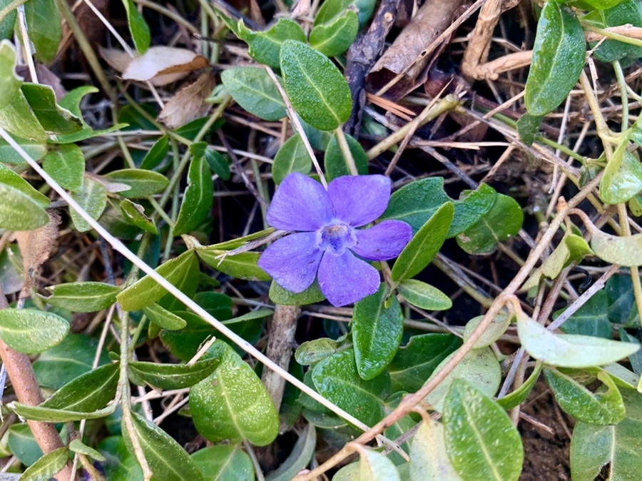 IMG_2575.jpg?type=w966