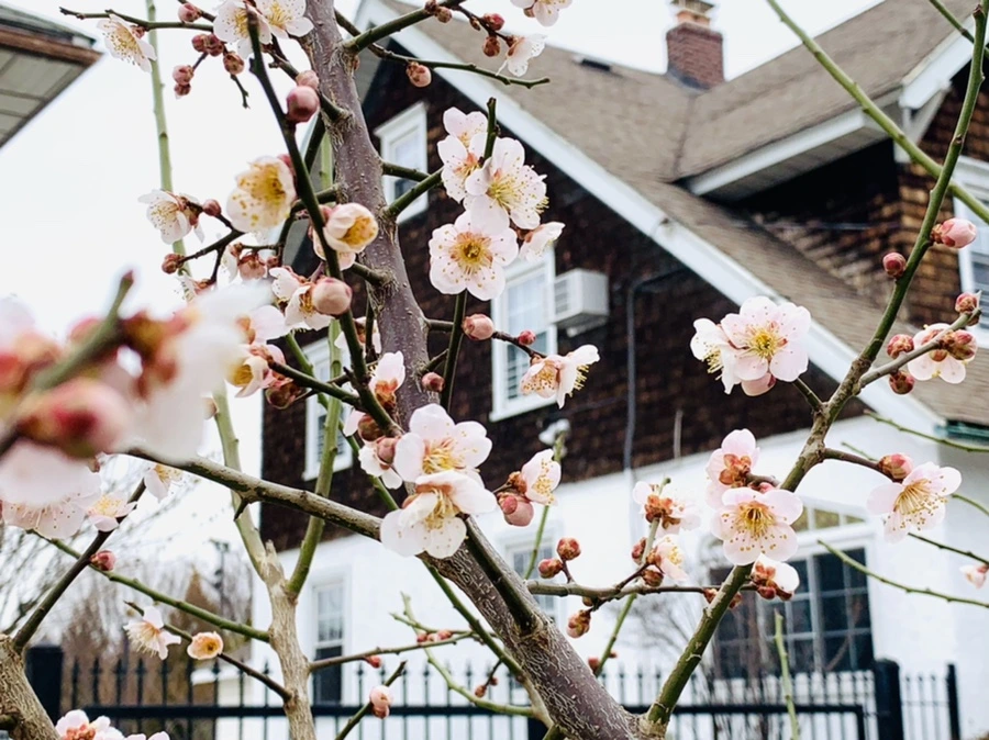 IMG_1711.jpg?type=w966