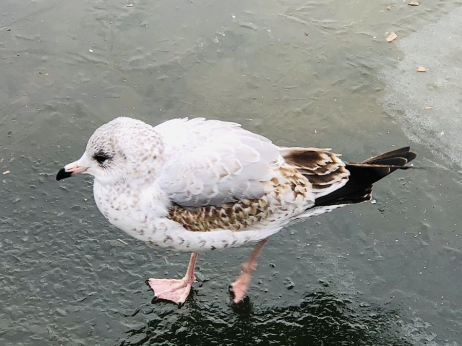 IMG_8638.jpg?type=w966