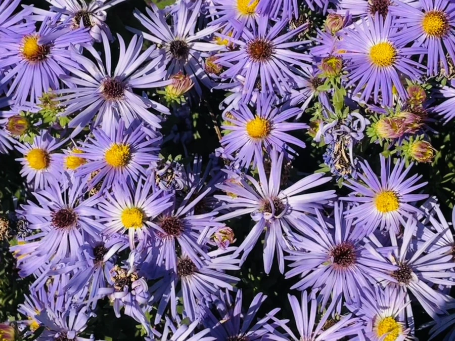 IMG_2011.jpg?type=w966