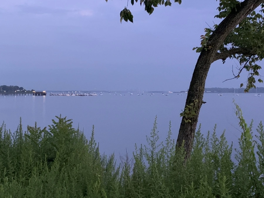 IMG_0073.jpg?type=w966