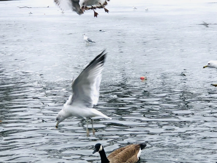 IMG_5860.jpg?type=w966