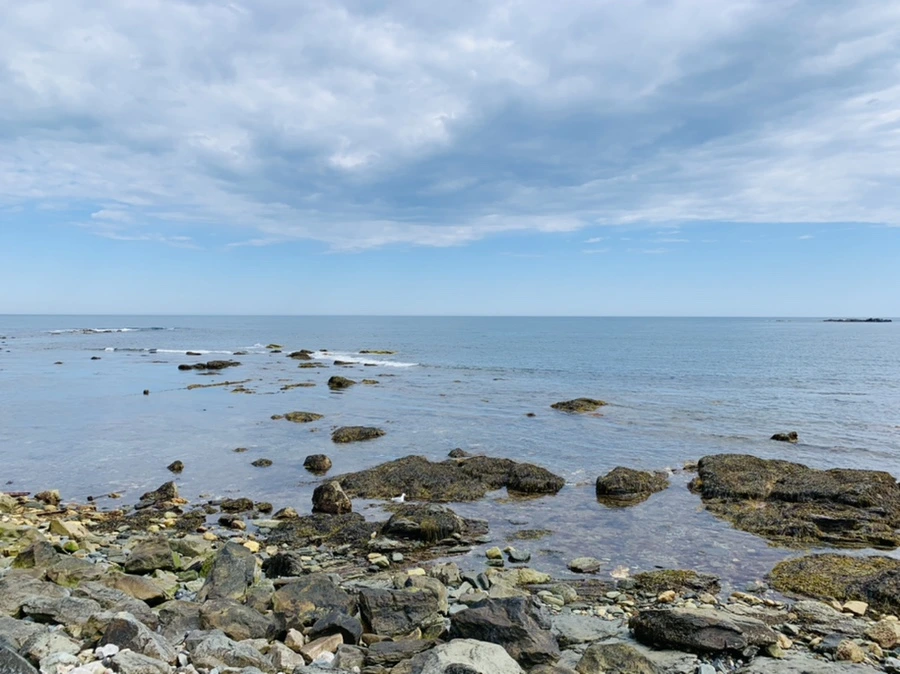 IMG_2769.jpg?type=w966