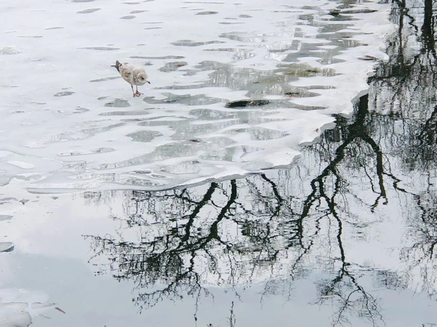 IMG_6513.jpg?type=w966