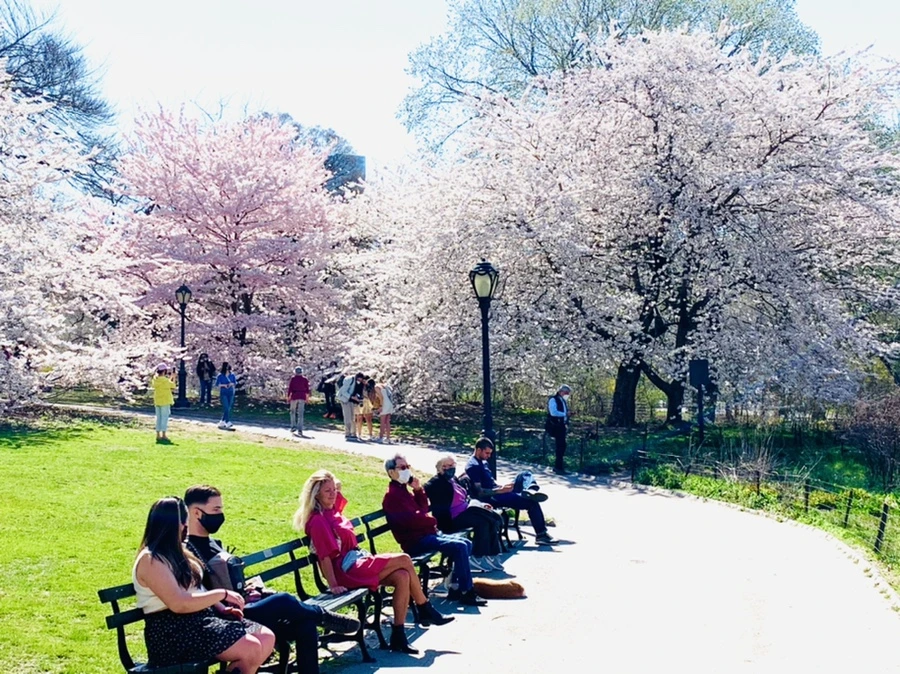 IMG_8996.jpg?type=w966