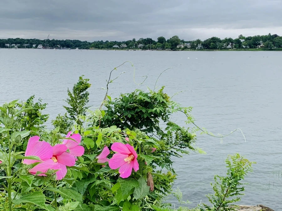 IMG_7745.jpg?type=w966