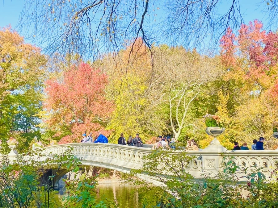 IMG_1640.jpg?type=w966