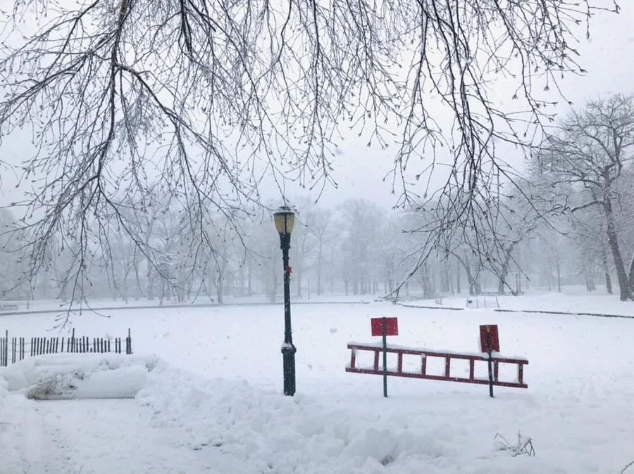 IMG_1095.jpg?type=w966