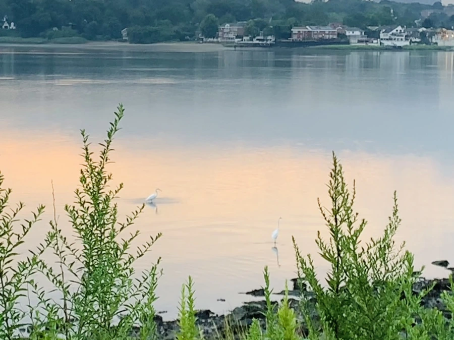 IMG_0256.jpg?type=w966