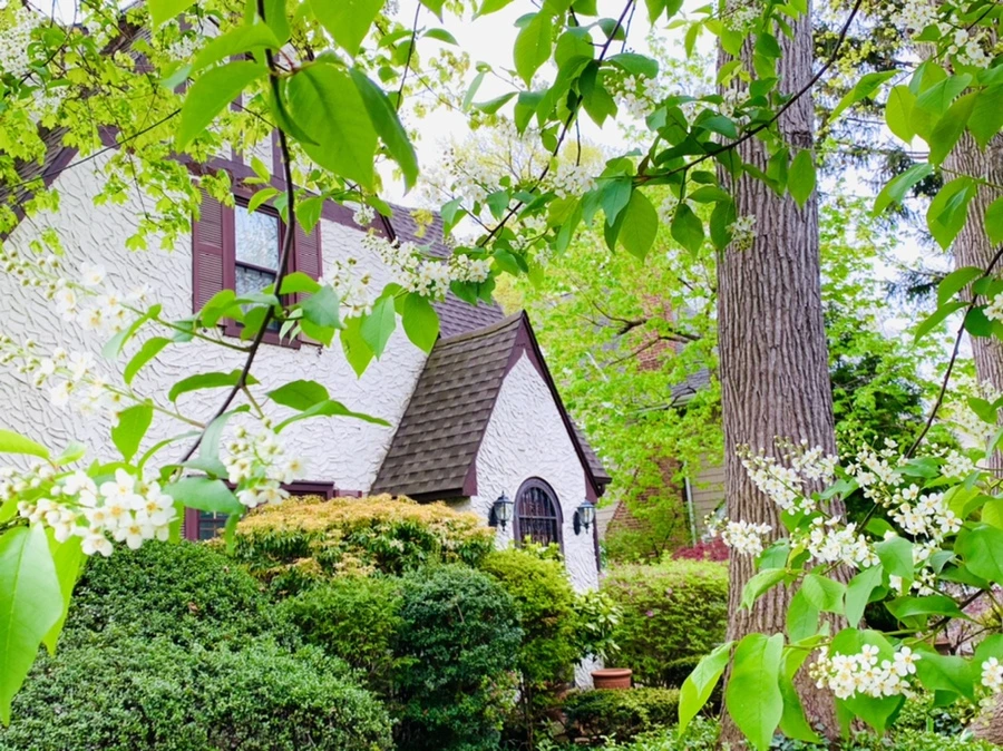 IMG_6123.jpg?type=w966